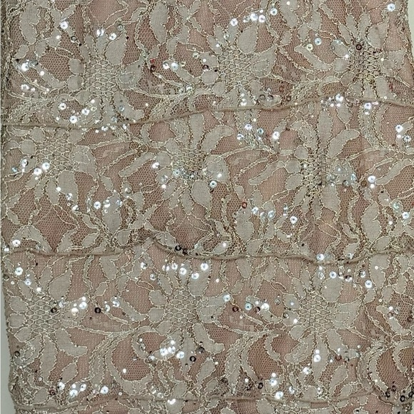 Scarlett Nite Floral Sheath Dress 8P Tan Gray Layered Lace Metallic Cap Sleeves - Picture 8 of 15